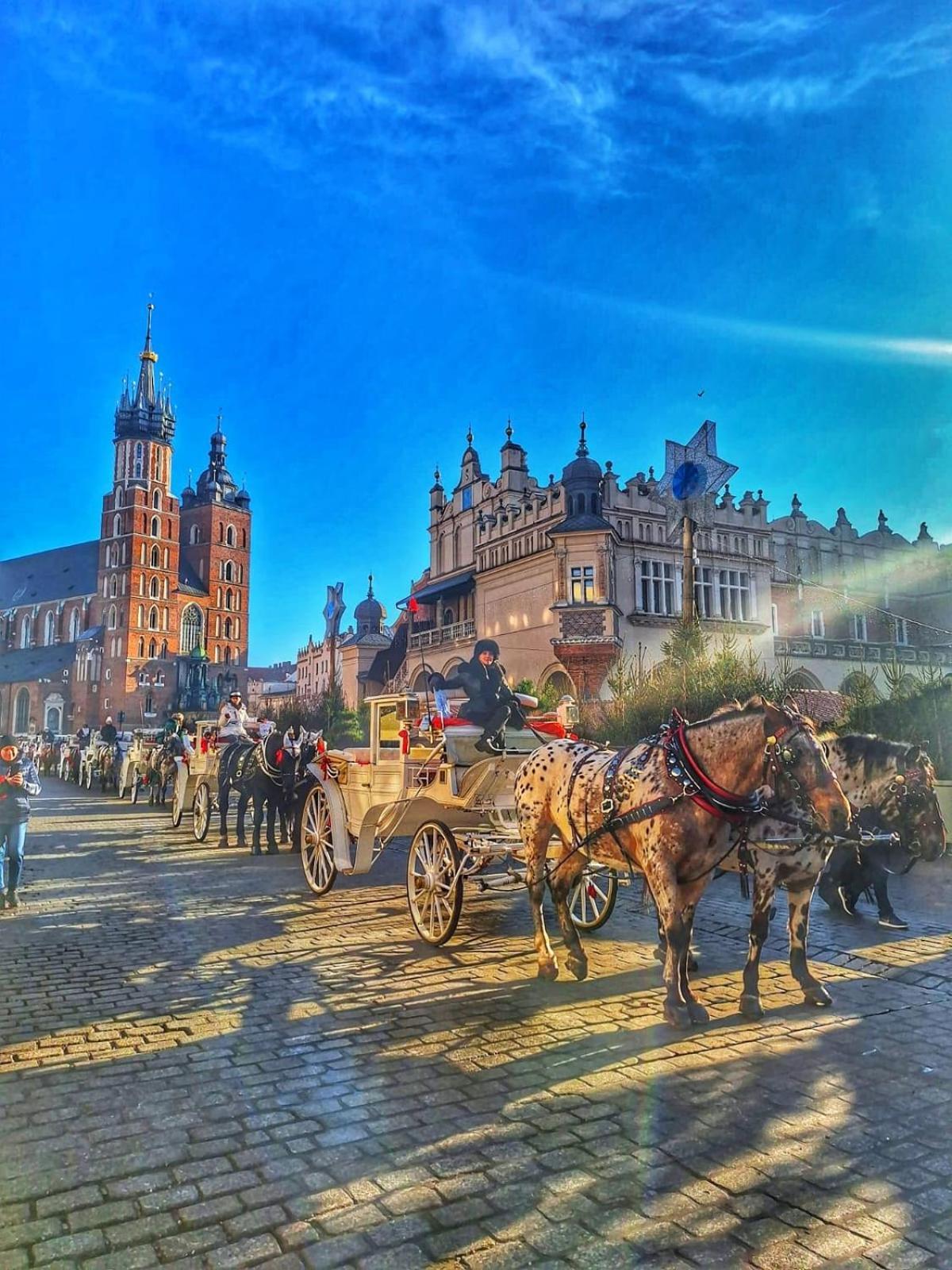 Apartment With Entresol Old Town Krasków Exterior foto